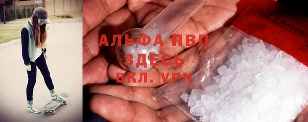 ПСИЛОЦИБИНОВЫЕ ГРИБЫ Болотное