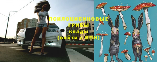 ПСИЛОЦИБИНОВЫЕ ГРИБЫ Болотное