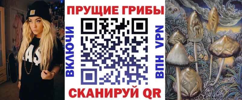 Галлюциногенные грибы MAGIC MUSHROOMS Сысерть