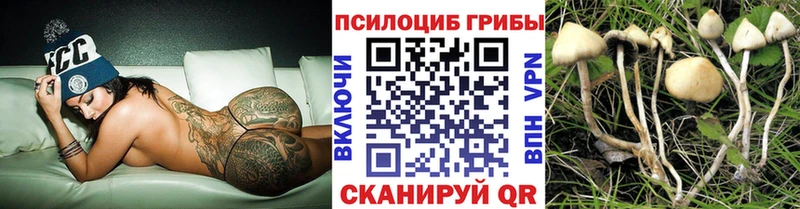 гидра ONION  Сысерть  Галлюциногенные грибы мицелий  цена  